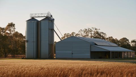 Grain silos and a machinery shed beside a ripe paddock
