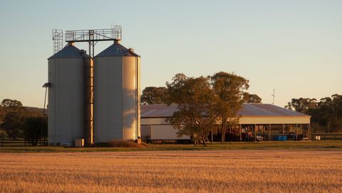 Two grain silos beside a machinery shed and a ripe wheat paddock